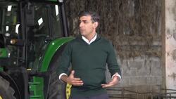Badger culls have to be part of the solution, Rishi Sunak tells farmers News Clip