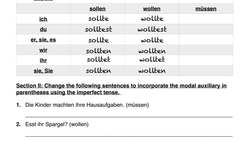 Simple Past of Modal Auxiliaries - German 2 WS Explanation - Deutsch lernen Instructional Video