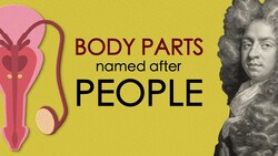 These body parts were named after people Instructional Video