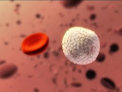 Blood and Circulation Assessment Instructional Video