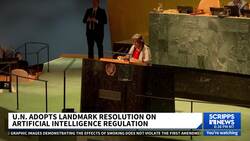 UN passes resolution to protect against malicious AI News Clip