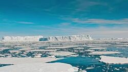 Ice floe floating in the ocean Stock Footage