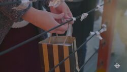 Senso-ji Shrine Instructional Video