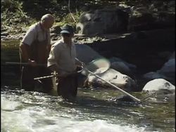 Scientific Method: Summing Up Instructional Video