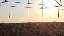 Center pivot irrigation at sunset 5 Stock Footage