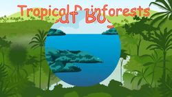 Plants and Environment Instructional Video