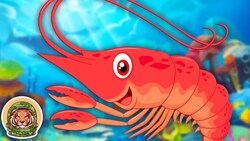 Learn About Shrimp! | Animal Songs For Kids | KLT WILD Instructional Video