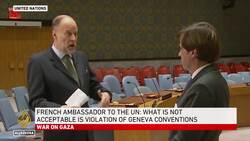 France escalation fears: French ambassador to UN expresses concerns News Clip