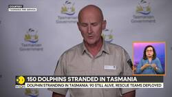 Dolphin rescue efforts underway in Tasmania News Clip