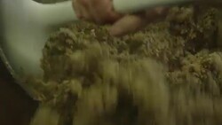 Ground barley pushed into bucket Stock Footage