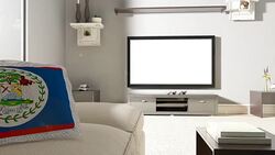 Couch and TV With Flag of Belize Stock Footage