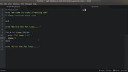 Bash Shell Scripting - Controlling the Flow - sleep, continue, break & exit Instructional Video