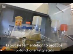 OmegaChem Instructional Video