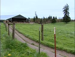 Sustaining a Legacy: The Organic Dairy Farm of the Bansen Family Instructional Video