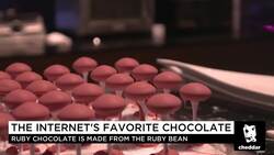 The Special Bean Behind the Internet's Favorite Chocolate News Clip