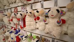 Made in New Jersey: Multipet in East Rutherford drives pet industry boom with toys News Clip