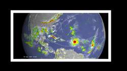 NASA Finds Cause of Florida Mangrove Forests Die-off Instructional Video