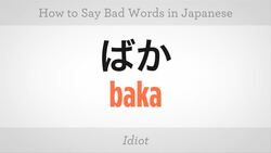 How to Say Bad Words in Japanese Instructional Video