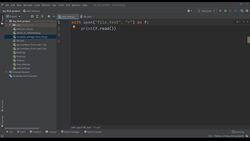 Practical Python: Learn Python Basics Step by Step- Python 3 - Read from a File Instructional Video