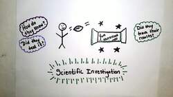 Parts of an Investigation Instructional Video