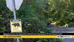 Woman attacked by mother bear while walking dog on Squamish trail News Clip