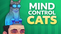 How cats manipulate your brain with parasites Instructional Video