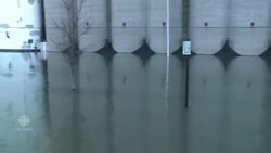 Illinois Gov. tours flood zone News Clip