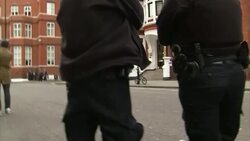 Julian Assange protesters outside the Ecuadorian embassy News Clip