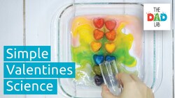 Science Experiment: Rainbows Instructional Video