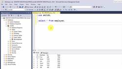 SQL Server Course for Beginners with 100+ examples - MAX() Function Instructional Video