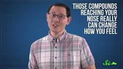 Do Essential Oils Really Work? And Why? Instructional Video