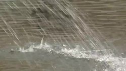 Irish flag flying outside Irish Parliament News Clip