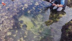 Catching a SHARK by HAND! Instructional Video