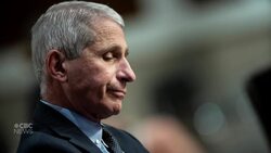 California shuts down again as COVID-19 cases surge News Clip