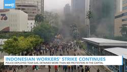 Indonesian Police Detain Hundreds Of Protesters In The Capital News Clip