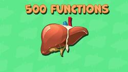 I WONDER - What Job Does The Liver Do? Instructional Video