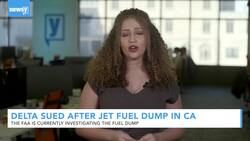California Teachers Sue Delta After Jet Fuel Dump Over Schools News Clip