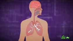 Why Do We Sneeze Instructional Video