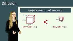 Factors Affecting Diffusion and Impact on Organisms Instructional Video