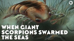 When Giant Scorpions Swarmed the Seas Instructional Video