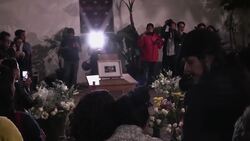 El pintor expresionista Francisco Toledo, falleció en México a los 79 años  Instructional Video