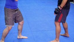 How to Counter Kicks in MMA Fighting Instructional Video