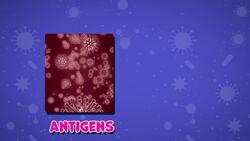 I WONDER - What Does The Immune System Do? Instructional Video