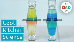 Science Experiment: Density with Two Glasses Instructional Video