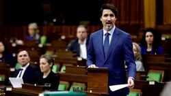 COVID-19 wage subsidy passes in House of Commons News Clip