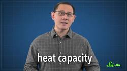 3 Surprising Ways Animals Use Saliva Instructional Video