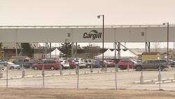 Workers raised concerns about Alberta meat processing plant closed by COVID-19 outbreak News Clip