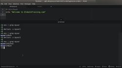 Bash Shell Scripting - declare Statement Instructional Video