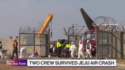Jeju Air Crash That Killed 179 Poses Bird-Strike Mystery News Clip