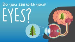 Buddhist philosophy - Consciousness and seeing - Do you see with just your eyes Instructional Video